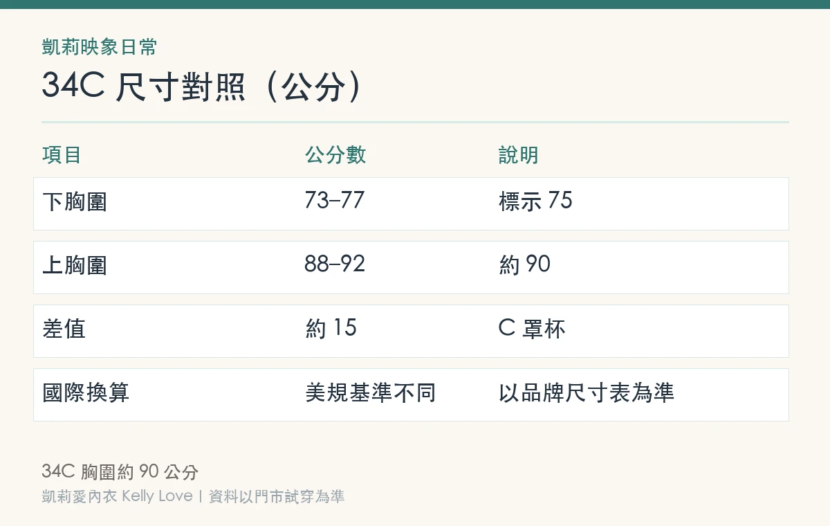 34C 尺寸對照表（公分）