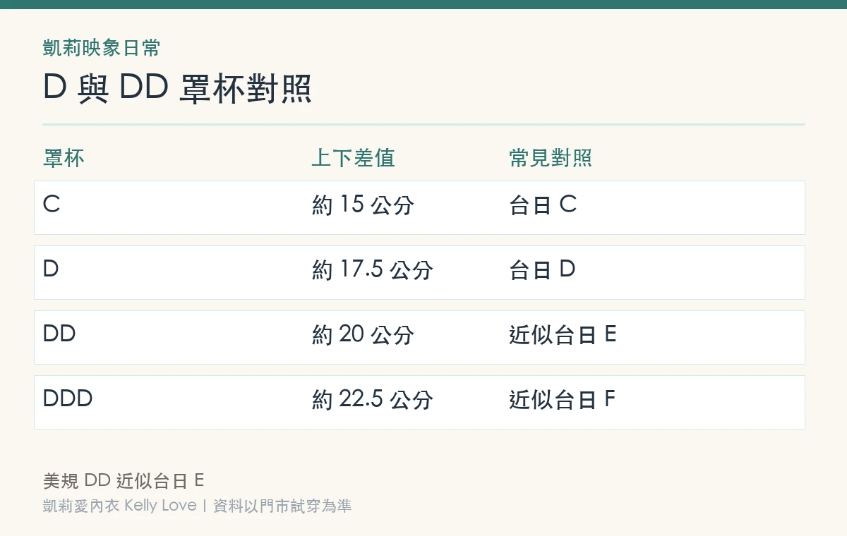 D 與 DD 罩杯對照表